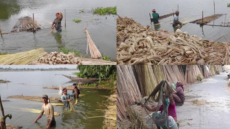 সংযুক্ত ছবি