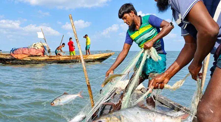 মা ইলিশের প্রজননে ২২ দিনের বিরতি, ৮ অক্টোবর থেকে সাগরে মাছ ধরা বন্ধ
