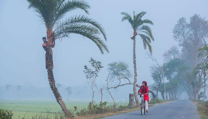 শীত ও প্রকৃতি