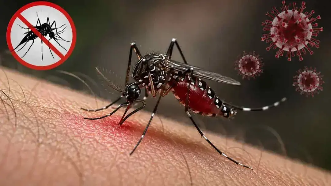 দেশে হাম-ডেঙ্গুতে দীর্ঘ হচ্ছে লাশের সারি